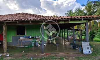 Imagem 5: FAZENDA NO DISTRITO DE CANGAS EM POCONÉ 50 hectares 01 casa 10 represa 30 hectares de past