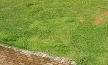 Imagem: TERRENO 194 m PORTAL DOS PÁSSAROS PINDA