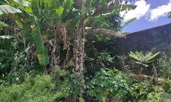 Imagem 2: Vendo lote em Diamantina. 300m2