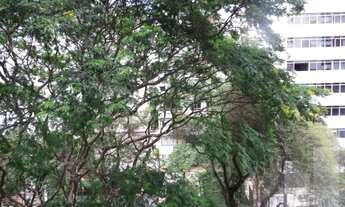 Imagem 4: Apartamento, Higienópolis - São Paulo