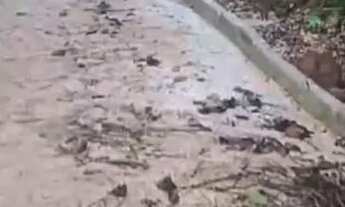 Imagem 7: Vendo terreno com casa em construção bem avançada