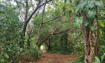 Imagem 7: Lote no Belle ville litoral Residence