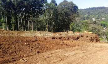 Imagem 6: Lote em RUA MIGUEL TISSOT - Várzea Grande - Gramado/RS