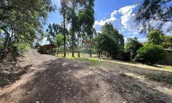 Imagem 3: Chácara Imperdível em Trindade do Sul, RS!