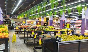 Imagem 6: Vendo supermercado tremembe SP