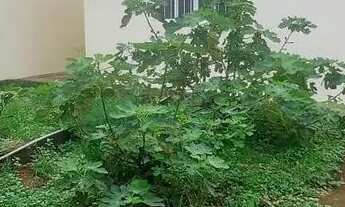 Imagem 4: CASA A VENDA - TERRAS DE SANTA CRUZ