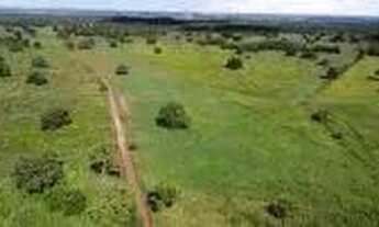 Imagem 2: Fazenda c/ 1.226he c/ 920he abertos/juquirado, dupla aptidão, Jangada-MT