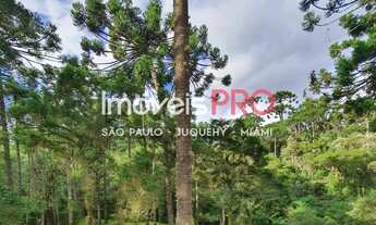 Imagem 6: Sobrado, Recanto das Araucárias - Campos do Jordão