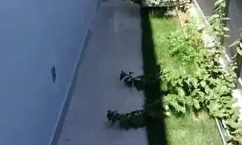 Imagem 6: Excelente Casa Térrea em Condomínio Fechado Vereda dos Campos em São José dos Campos