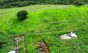 Imagem 6: Sitio 12,4 alqueires Região de São Pedro SP