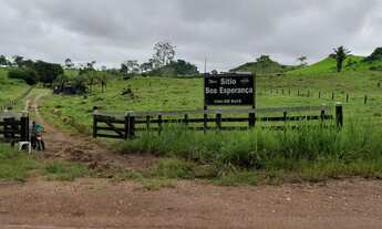 Imagem 4: Sítio ji-parana /rondominas terra linha 208 criação gado /psicultura