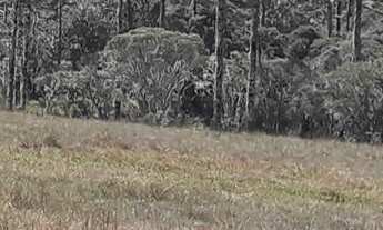 Imagem 3: Fazenda de 200 ha