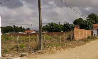 Imagem 3: Exclusividade - Terreno - 1.000m2 - Parque das Arvores