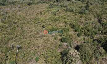 Imagem 4: Fazenda de 140 Alqueires . Mecaniza 79 Alqueires - Pinhão PR . R$ 7.000.000,00