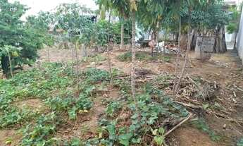 Imagem: Terreno à venda - Jardim Paulistano - Indaiatuba/SP