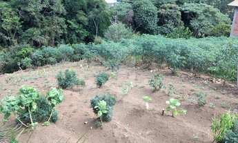 Imagem 2: Lote/Terreno para venda tem 980 metros quadrados em Cônego - Nova Friburgo - RJ
