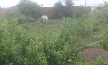 Imagem: Terreno no Jardim Guanabara 10×20