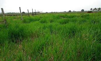Imagem 2: Terreno RGI Centro São Francisco de Itabapoana