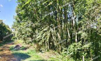 Imagem 2: Excelente Chácara Sem Benfeitorias