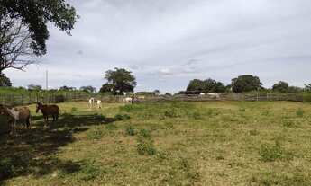 Imagem 7: Fazenda Próximo a MONTES CLAROS!!!980 HECTARES!!!