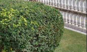 Imagem 6: Locação de casa em amplo terreno no Jardim Planalto em Arujá!!!