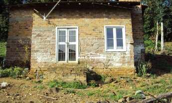 Imagem 3: Sitio com 9 hechtares, aceitamos carros, própria para plantio de parreiral, muito fértil