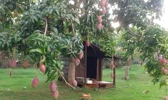 Imagem 6: Aluga-se casa na chácara em Maringá, ao lado Duzentão Auto Peças/faculdade Uningá