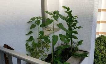 Imagem 6: Excelente apto, varandão, frente, sol da manhã, 1a quadra Campo de São Bento