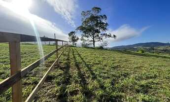 Imagem 4: Fazenda/Sítio/Chácara para venda com 4300 metros quadrados em Ipiranga - Gravataí - RS