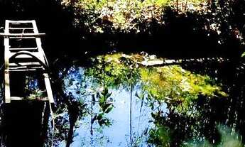 Imagem 5: Chácara à venda, 20.000 m² por R$ 550.000 - Campos Eliseos - Pardinho/SP