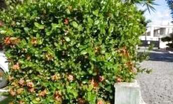 Imagem 7: Casa à venda no bairro Cidade dos Funcionários - Fortaleza/CE