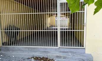 Imagem 3: Casa no Parque Dez, Shangrilar IV