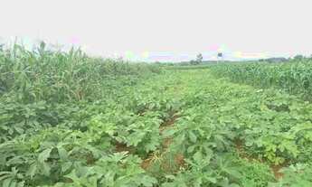 Imagem 2: Chácara INCRA nove 1 hectare com casa de 1° R$:490 mil