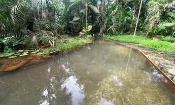Imagem: Sítio com igarapé