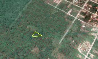 Imagem 6: Terreno para investimento - Escritura e Registro l Salinas - Bal. Barra do Sul/SC