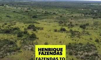 Imagem 6: Fazenda dupla aptidão região sul do Tocantins ....