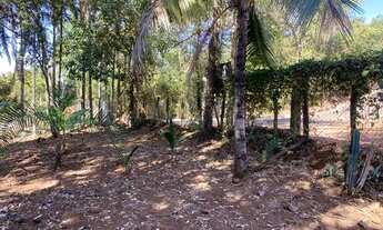 Imagem 4: Chácara Miranda 3