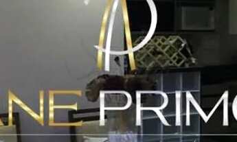 Imagem 5: Lindo apartamento Garden mobiliado