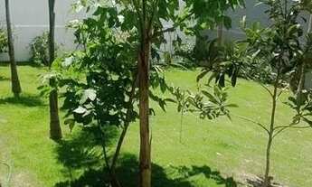 Imagem 6: Casa em Colatina com piscina