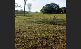 Imagem 4: CÓD026 - SÍTIO- 97HECTARES -Terenos/MS