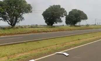 Imagem 2: Sítio às margens da BR-376 - Nova Esperança / Presidente Castelo Branco - 27km de Maringá