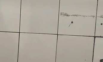 Imagem 6: Aluga-se um cômodo, Jardim selma