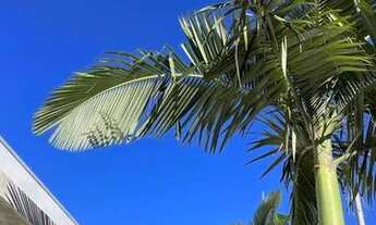 Imagem 6: Alugo Casa Nova Casa com 3 dormitórios