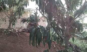 Imagem 6: Casa em sítio sem acabamento