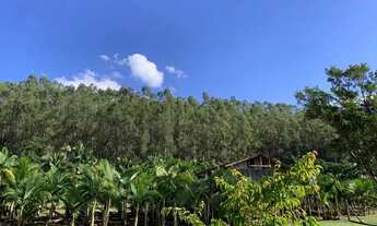 Imagem: Lindo sítio com piscina em Apiúna - SC
