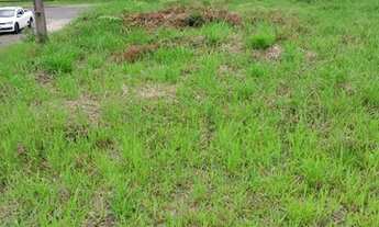 Imagem 3: Terreno bairro recanto verde com projeto de construção de casas