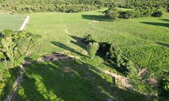 Imagem: Fazendinha próximo Uberlândia