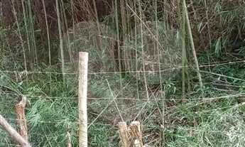 Imagem 5: Área de Terra à venda em Muriqui - RJ
