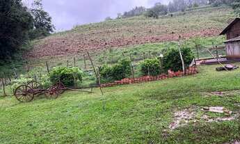 Imagem 6: Chácara 14 hectares, potreiro, roças, frutíferas,3 açudes