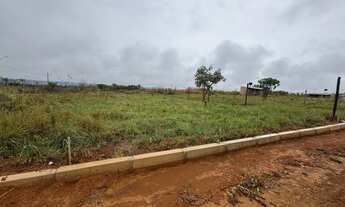 Imagem 5: Lote cana do reino